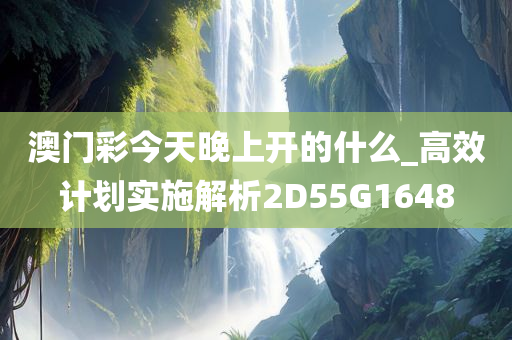 澳门彩今天晚上开的什么_高效计划实施解析2D55G1648