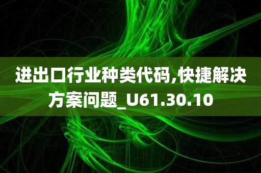 进出口行业种类代码,快捷解决方案问题_U61.30.10