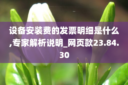 设备安装费的发票明细是什么,专家解析说明_网页款23.84.30