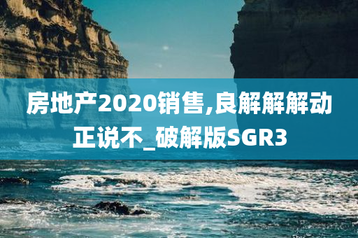 房地产2020销售,良解解解动正说不_破解版SGR3