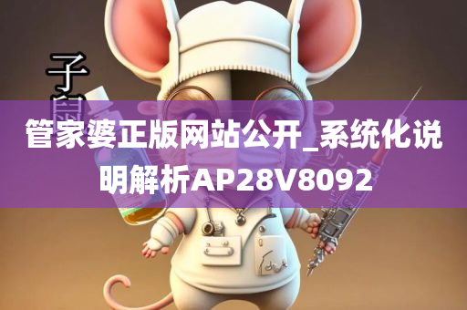 管家婆正版网站公开_系统化说明解析AP28V8092