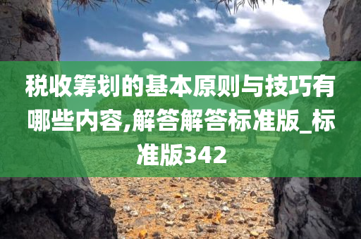 税收筹划的基本原则与技巧有哪些内容,解答解答标准版_标准版342