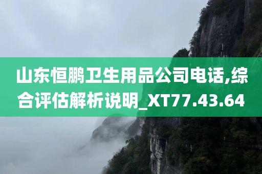 山东恒鹏卫生用品公司电话,综合评估解析说明_XT77.43.64