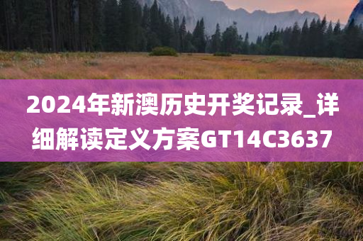 2024年新澳历史开奖记录_详细解读定义方案GT14C3637