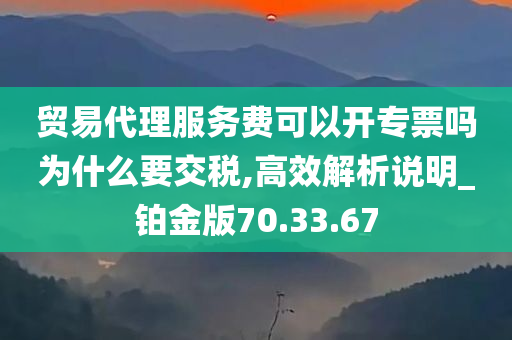 贸易代理服务费可以开专票吗为什么要交税,高效解析说明_铂金版70.33.67