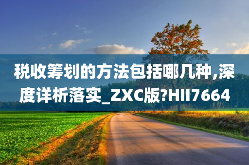 税收筹划的方法包括哪几种,深度详析落实_ZXC版?HII7664