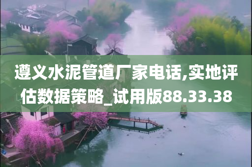 遵义水泥管道厂家电话,实地评估数据策略_试用版88.33.38