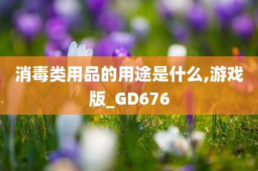 消毒类用品的用途是什么,游戏版_GD676