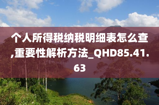 个人所得税纳税明细表怎么查,重要性解析方法_QHD85.41.63