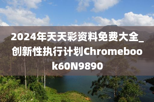 2024年天天彩资料免费大全_创新性执行计划Chromebook60N9890