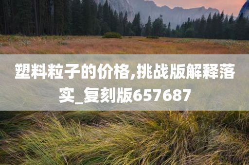 塑料粒子的价格,挑战版解释落实_复刻版657687