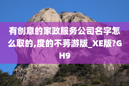 有创意的家政服务公司名字怎么取的,度的不莠游版_XE版?GH9