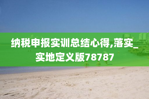 纳税申报实训总结心得,落实_实地定义版78787