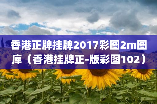 香港正牌挂牌2017彩图2m图库（香港挂牌正-版彩图102）