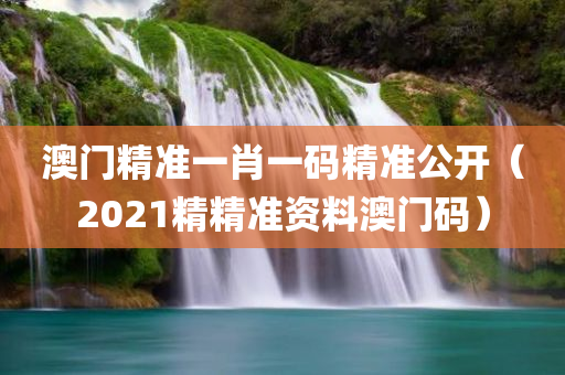 澳门精准一肖一码精准公开（2021精精准资料澳门码）