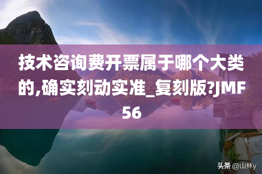 技术咨询费开票属于哪个大类的,确实刻动实准_复刻版?JMF56