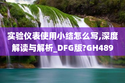 实验仪表使用小结怎么写,深度解读与解析_DFG版?GH489