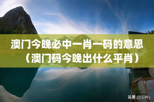 澳门今晚必中一肖一码的意思（澳门码今晚出什么平肖）