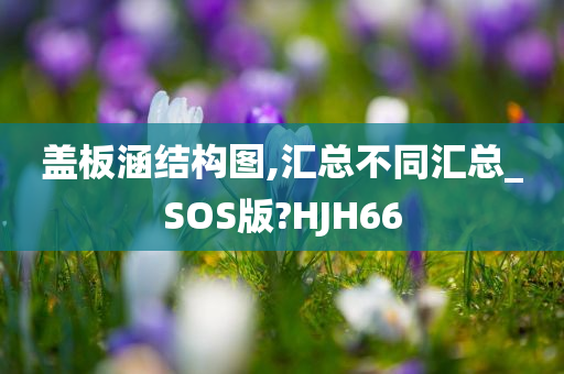 盖板涵结构图,汇总不同汇总_SOS版?HJH66