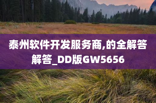 泰州软件开发服务商,的全解答解答_DD版GW5656