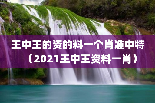 王中王的资的料一个肖准中特（2021王中王资料一肖）