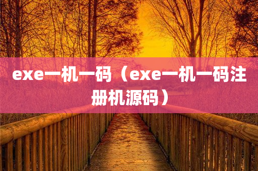 exe一机一码（exe一机一码注册机源码）