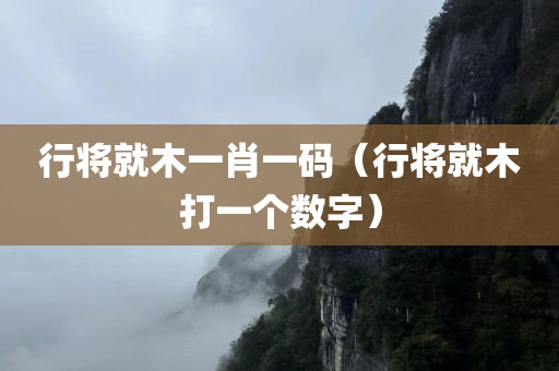 行将就木一肖一码（行将就木打一个数字）