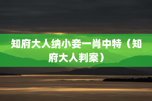 知府大人纳小妾一肖中特（知府大人判案）