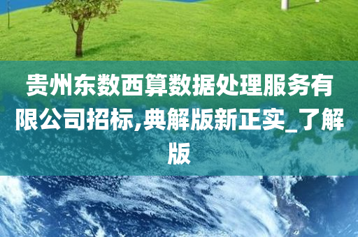 贵州东数西算数据处理服务有限公司招标,典解版新正实_了解版