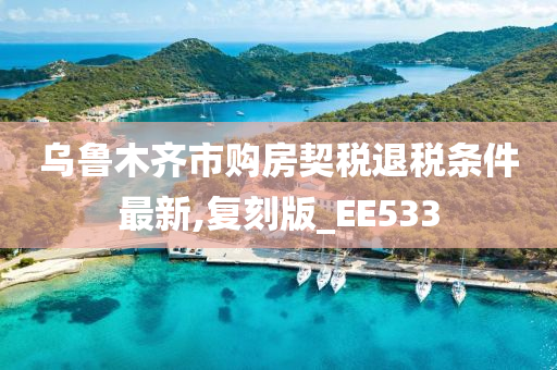 乌鲁木齐市购房契税退税条件最新,复刻版_EE533