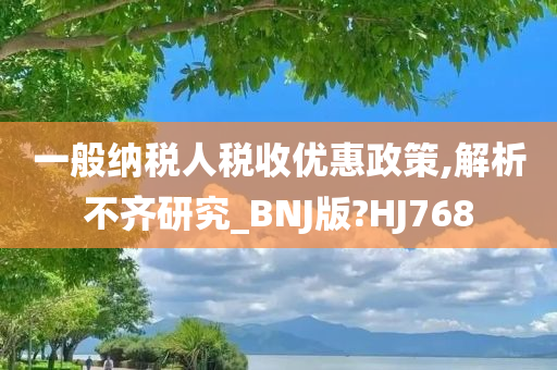 一般纳税人税收优惠政策,解析不齐研究_BNJ版?HJ768