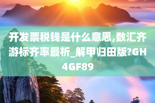 开发票税钱是什么意思,数汇齐游标齐率最析_解甲归田版?GH4GF89