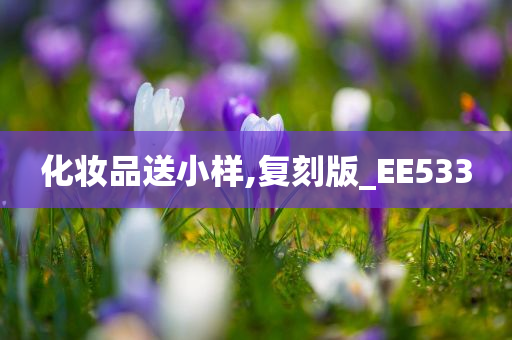 化妆品送小样,复刻版_EE533