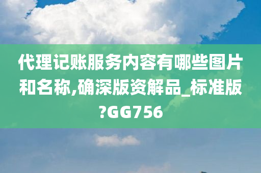 代理记账服务内容有哪些图片和名称,确深版资解品_标准版?GG756