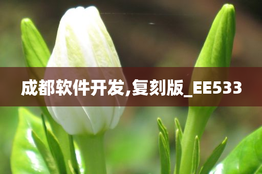 成都软件开发,复刻版_EE533