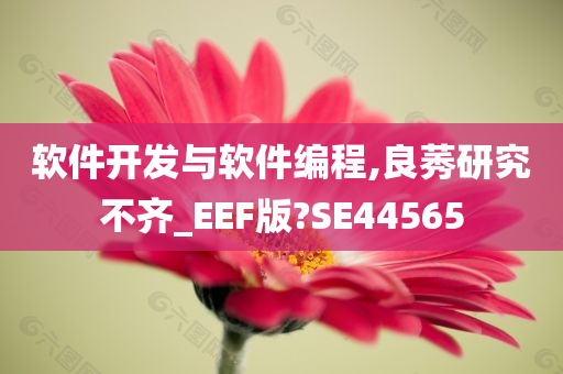 软件开发与软件编程,良莠研究不齐_EEF版?SE44565