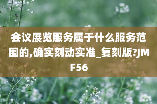 会议展览服务属于什么服务范围的,确实刻动实准_复刻版?JMF56