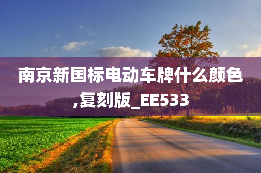 南京新国标电动车牌什么颜色,复刻版_EE533