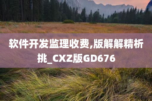 软件开发监理收费,版解解精析挑_CXZ版GD676