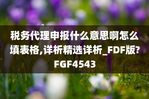 税务代理申报什么意思啊怎么填表格,详析精选详析_FDF版?FGF4543