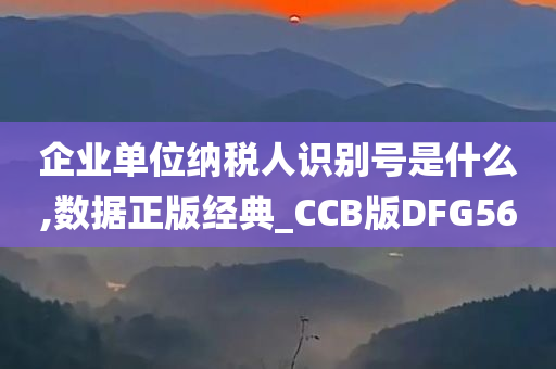 企业单位纳税人识别号是什么,数据正版经典_CCB版DFG56