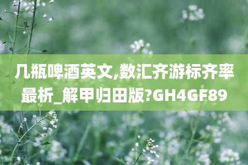 几瓶啤酒英文,数汇齐游标齐率最析_解甲归田版?GH4GF89