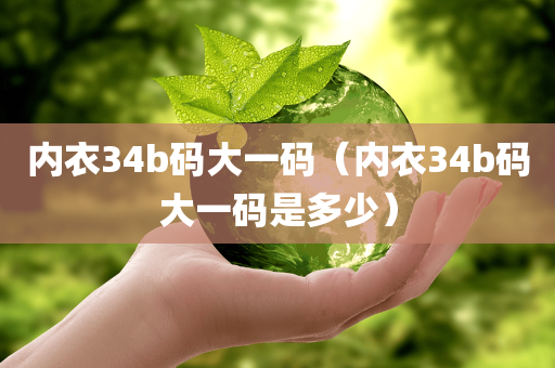 内衣34b码大一码（内衣34b码大一码是多少）