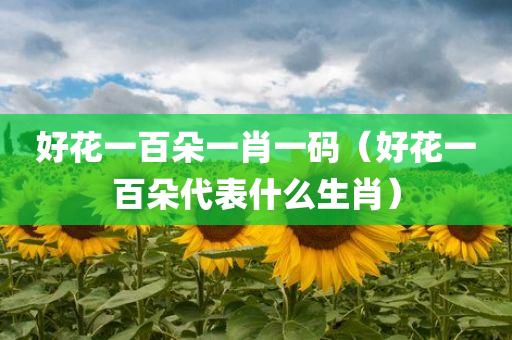 好花一百朵一肖一码（好花一百朵代表什么生肖）