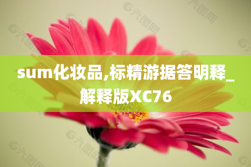 sum化妆品,标精游据答明释_解释版XC76