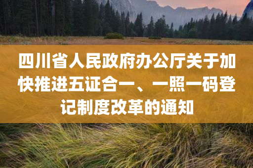 四川省人民政府办公厅关于加快推进五证合一、一照一码登记制度改革的通知