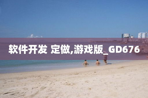 软件开发 定做,游戏版_GD676