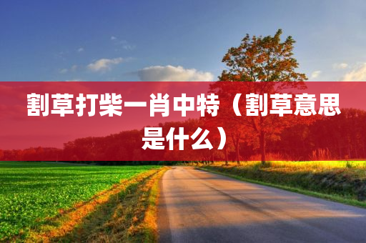 割草打柴一肖中特（割草意思是什么）