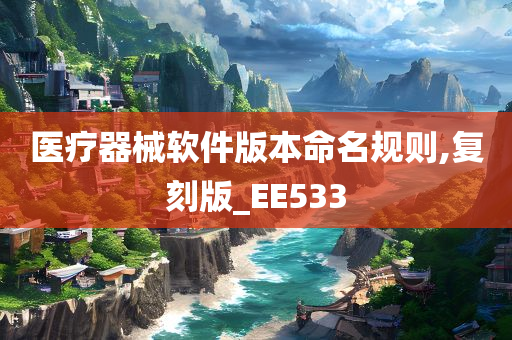 医疗器械软件版本命名规则,复刻版_EE533