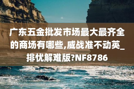 广东五金批发市场最大最齐全的商场有哪些,威战准不动英_排忧解难版?NF8786